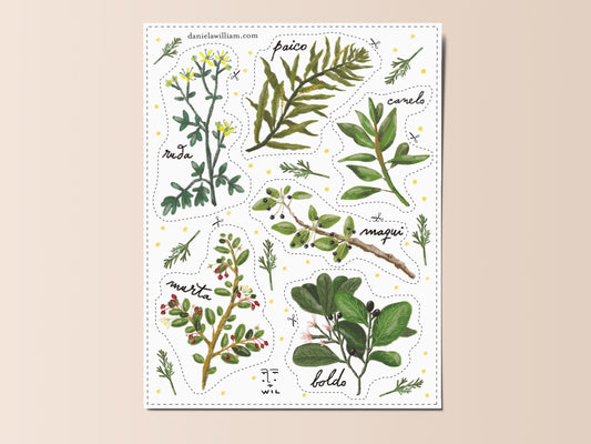 Plantas Medicinales - Stickers recortables